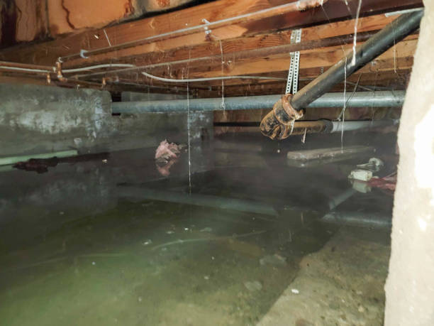 Trusted IN Water damage restoration Experts