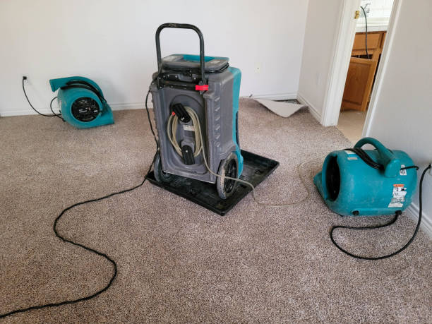 Best Ceiling water damage repair  in Fowler, IN