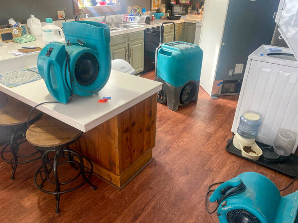 Best Residential water damage restoration  in Fowler, IN