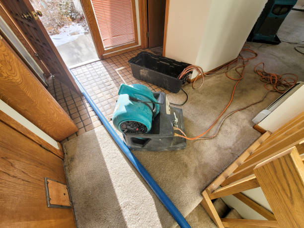 Best Flood damage cleanup  in Fowler, IN