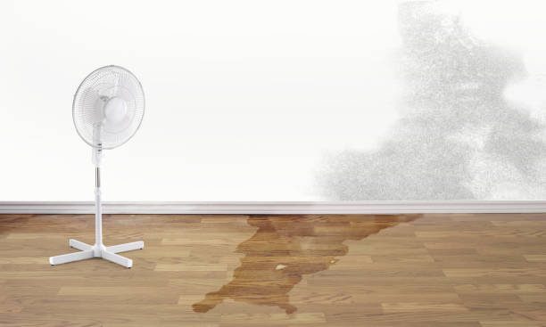 Best 24/7 water damage repair  in Fowler, IN