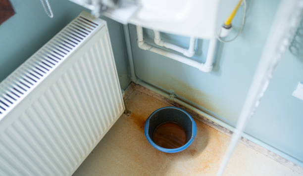 Best Flood restoration services  in Fowler, IN