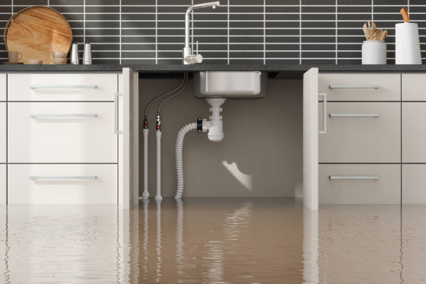 Best Commercial water damage restoration  in Fowler, IN