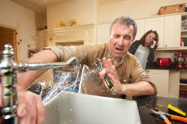 Best Carpet water damage restoration  in Fowler, IN